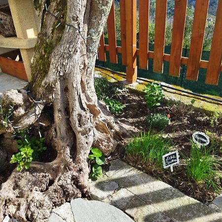 Amphiorama Villa La Spezia Ngoại thất bức ảnh