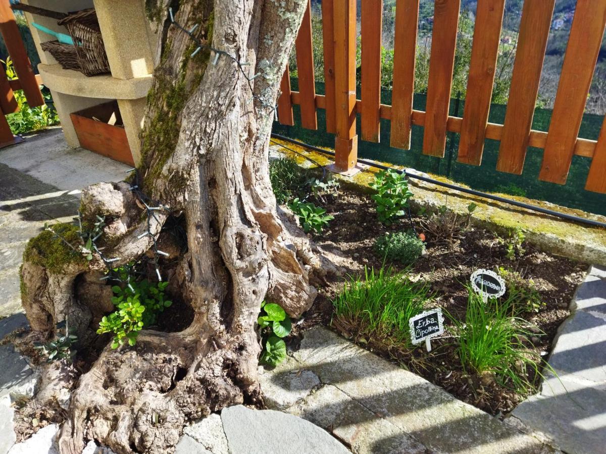 Amphiorama Villa La Spezia Ngoại thất bức ảnh